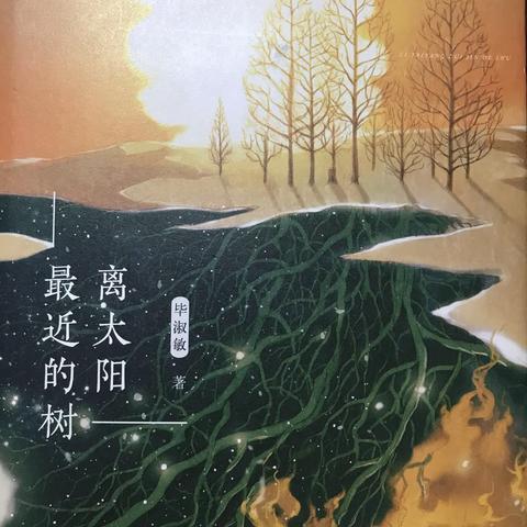 《离太阳最近的树》有感