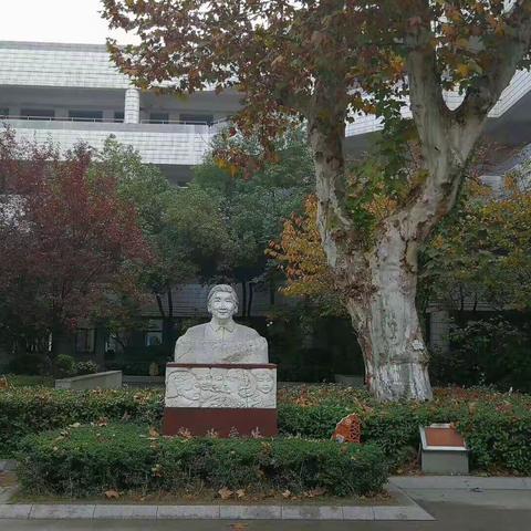 我在这里：走进南师大附属小学