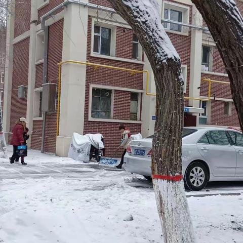 石河子的这场雪下的太爽了，给共和国军垦第一城披上了一层靓丽的银装！