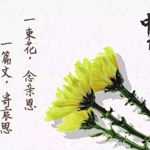 【附中学子这样过暑假】绿色中元  文明祭祀——忻州师院附中 初319班