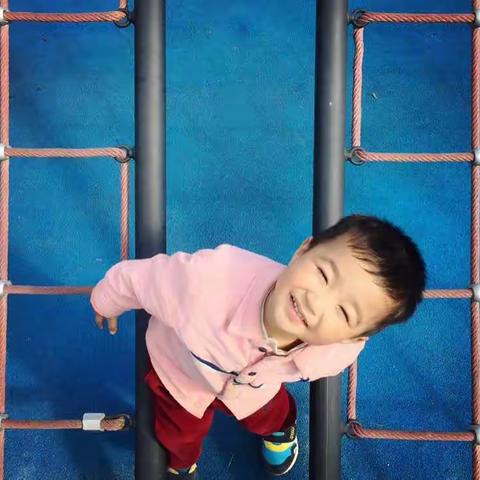 傻六六