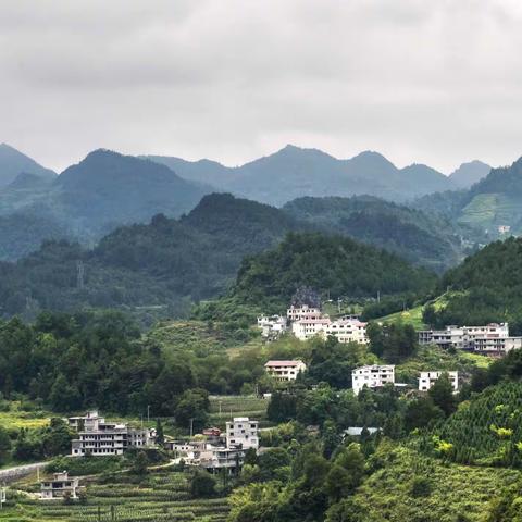 山幽水澈钟山峡