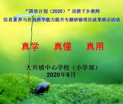 【大兴镇中心学校（小学部）】国培计划（2020）——— 成果展示、总结提升活动