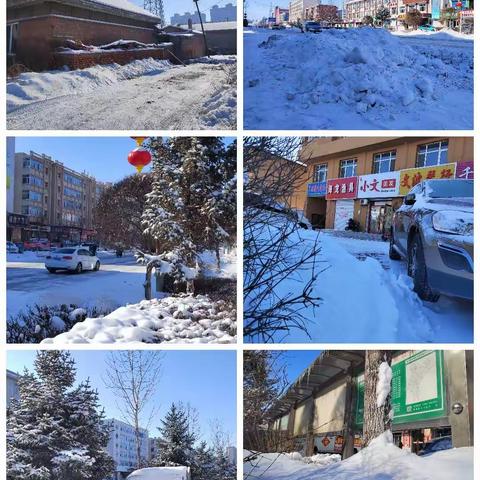 辛红玉||雪后天晴溜溜达