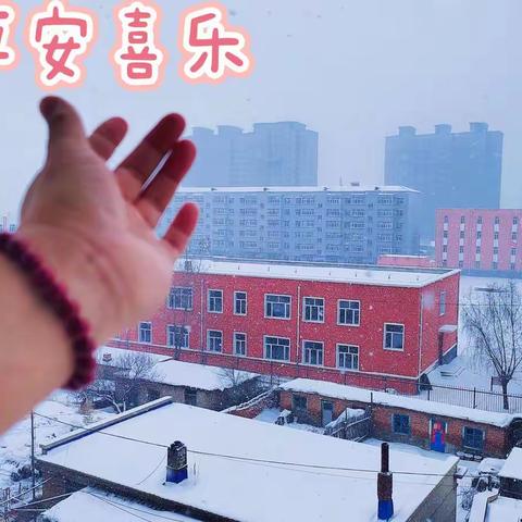 辛红玉||这场立春后的大雪