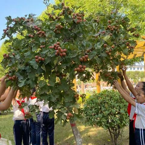 “喜迎二十大，童心庆丰收”——聊城市实验小学五年级庆丰收节活动
