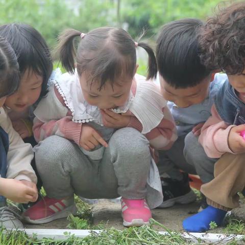 五月是一个怎样的季节呢？———记小二班自然课程