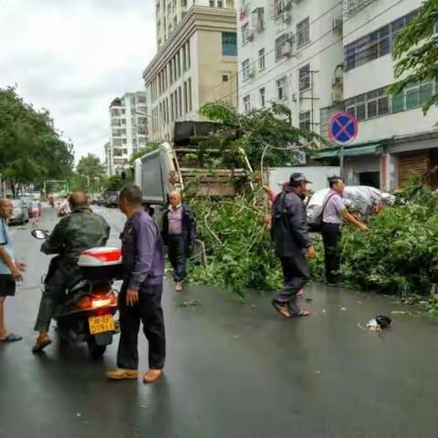 新建社区积极开展台风过后环境卫生清理工作