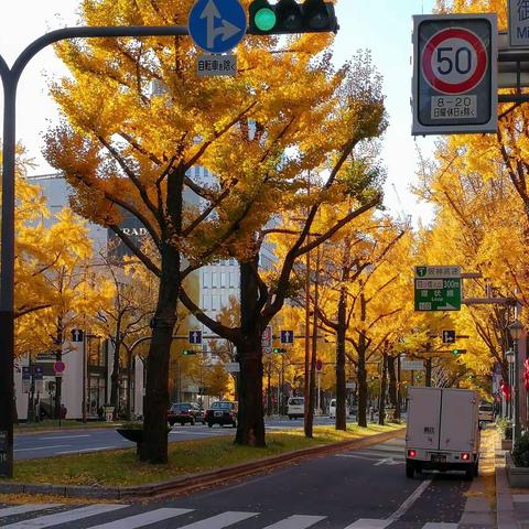 2017.12日本秋游——奈良、神户、大阪