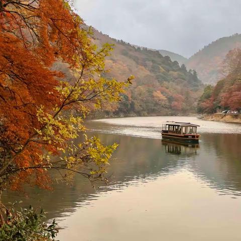 2017.11日本秋游——岚山