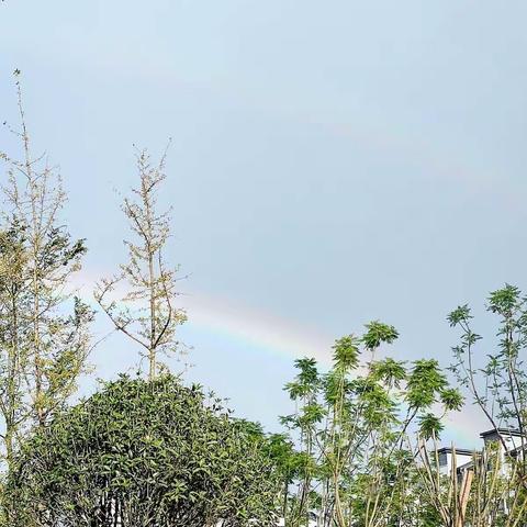 🌈 遇见七色彩虹🌈                   创编我最棒（一）