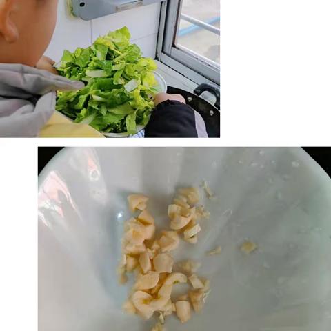 劳动美——社会实践