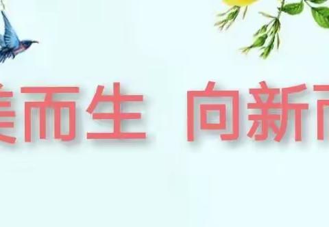 向美而生   向新而行———庞家镇第一小学美术组两周工作纪实（八）