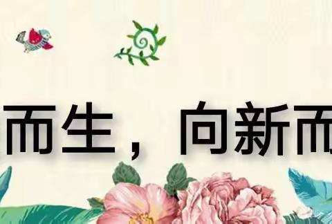 向美而生，向新而行———庞家镇第一小学美术组两周工作纪实（七）