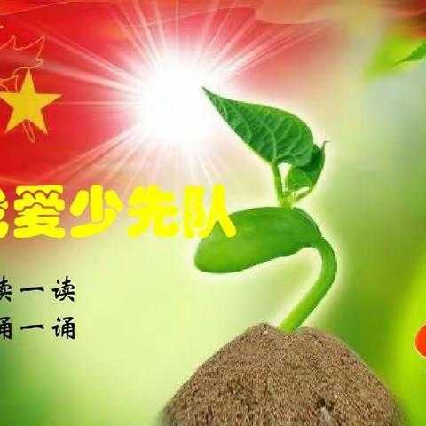 红领巾课堂       一年级队前教育