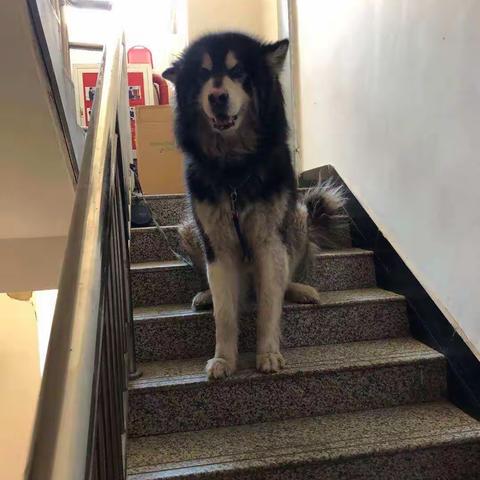 社区、民警、物业三方联动，打造社区治理新格局