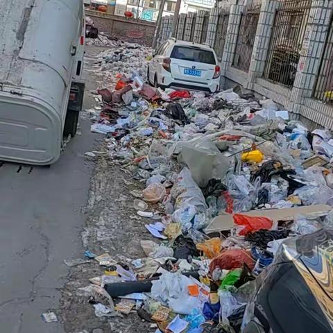 和阳社区开展“学雷锋，我先行”环境整治活