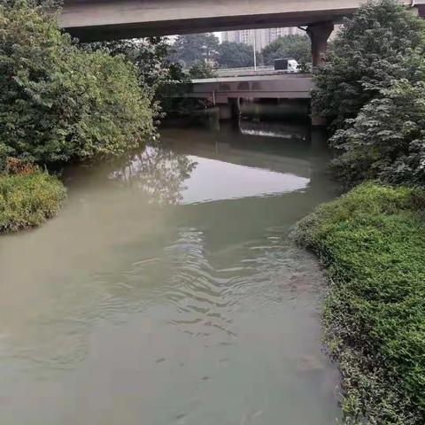 白云区均禾街11月14日河长制工作简报