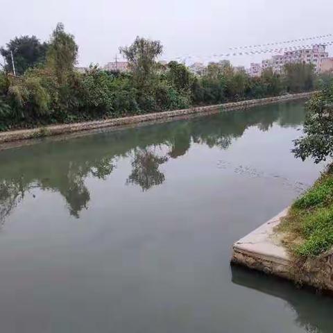 白云区均禾街11月15日河长制工作简报