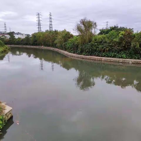 白云区均禾街11月19日河长制工作简报