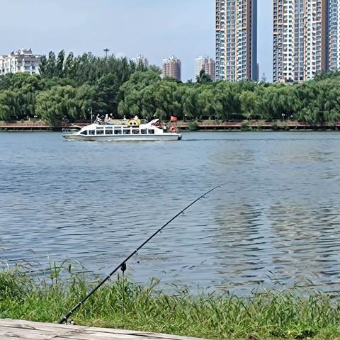 游沈阳长白岛森林公园
