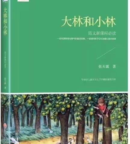 黄诗淇第十三周实践活动