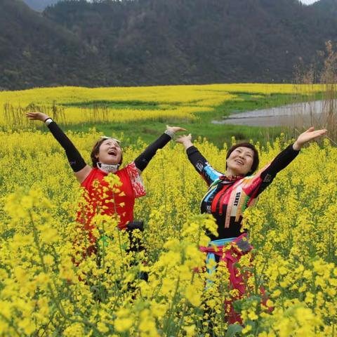 新安江边菜花香