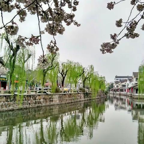 春风又绿琴川岸
