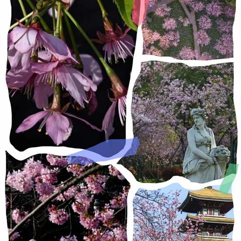 你线上教学的样子，就是最美的样子