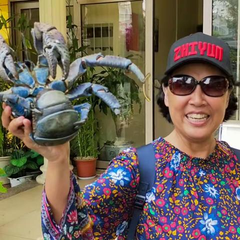 在瓦努阿图品尝椰子蟹