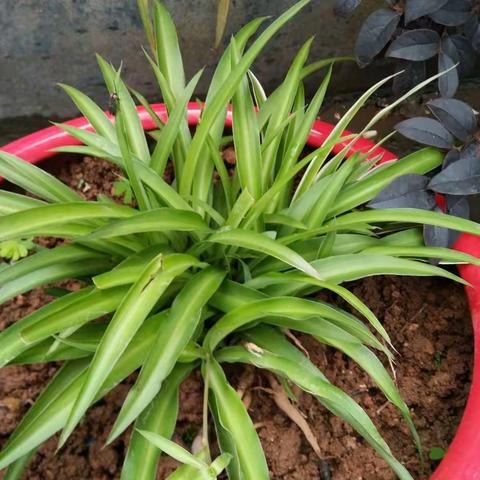 家和万事兴的美篇