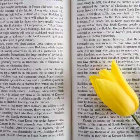 Companionship of Books 以书为伴