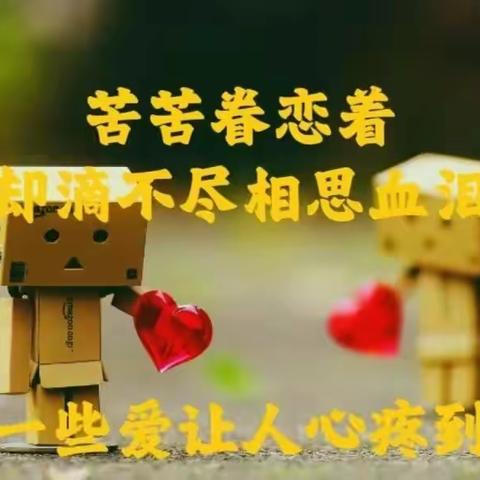 《额尔古纳河右岸》总有一段优美的文字撩动你的心弦，让你沉醉