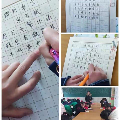 中阳县第四届中小学生学科素养大赛——暖泉赛区