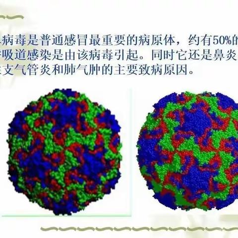 近期普通感冒多发，要警惕鼻病毒在捣乱