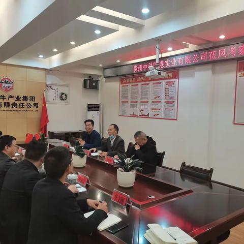 贵州中科国港实业有限公司莅凤考察肉牛产业