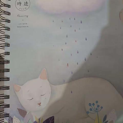 我的摘抄我做主