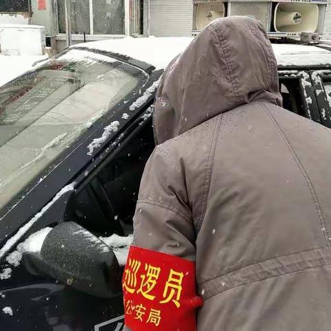 在抗疫风雪中绽放的铿锵玫瑰