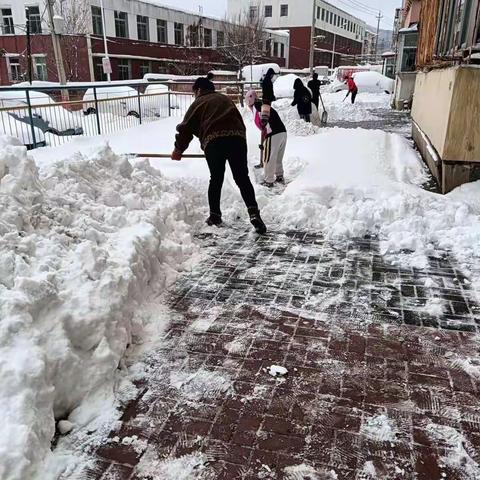 桥北街道河东社区“战疫情、战暴雪”两不误