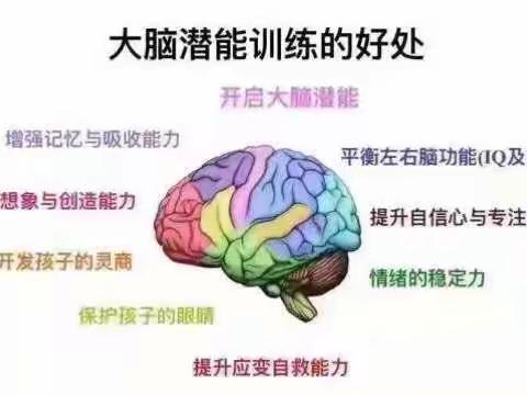 全脑教育～全球发展的趋势