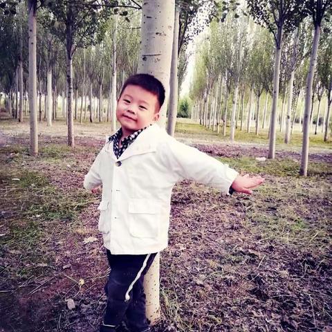 微凉的晚风吹起衣角，漫步在树林里，突然觉得，秋天果然是适合散步的季节。