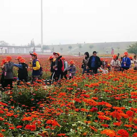 宣鳙书院秋游活动剪影