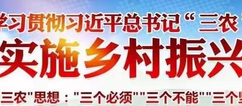 蕉坑村《卫生环境“红黑榜”》制度试行工作会议