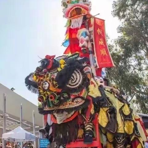 墨尔本的华人相聚在我们居住的小区迎接新年，澳洲总理也来了，我拍了几个场景供大家分享。