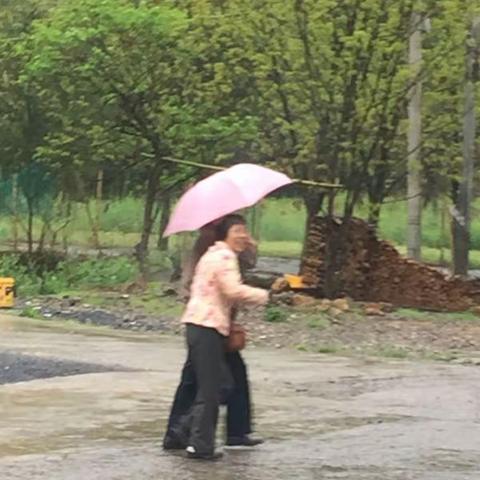 走进山村农家乐