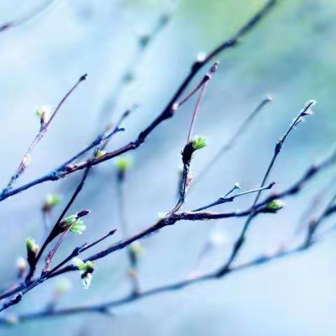 濮阳县第五届“县长杯”青少年校园乒乓球联赛颁奖典礼——王称堌镇二中