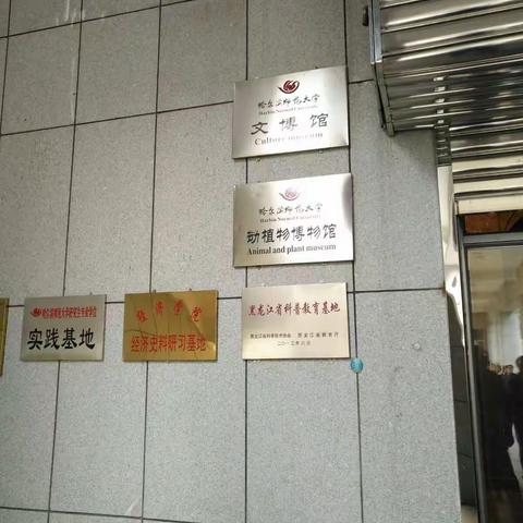 哈师大博物馆：其中动物标本90%是真的。走马观花看了一下，时间有限只用手机拍下留念了。企鹅和鸳鸯大有不同…