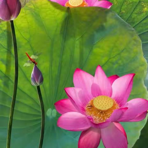 《夏天》