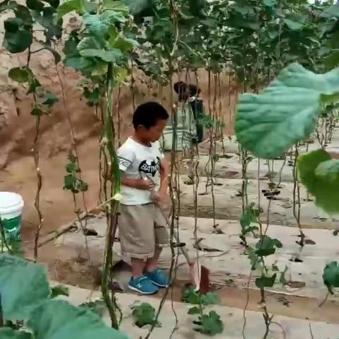 朱博宇的暑假生活
