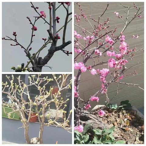 姚江春(老儒)的美篇